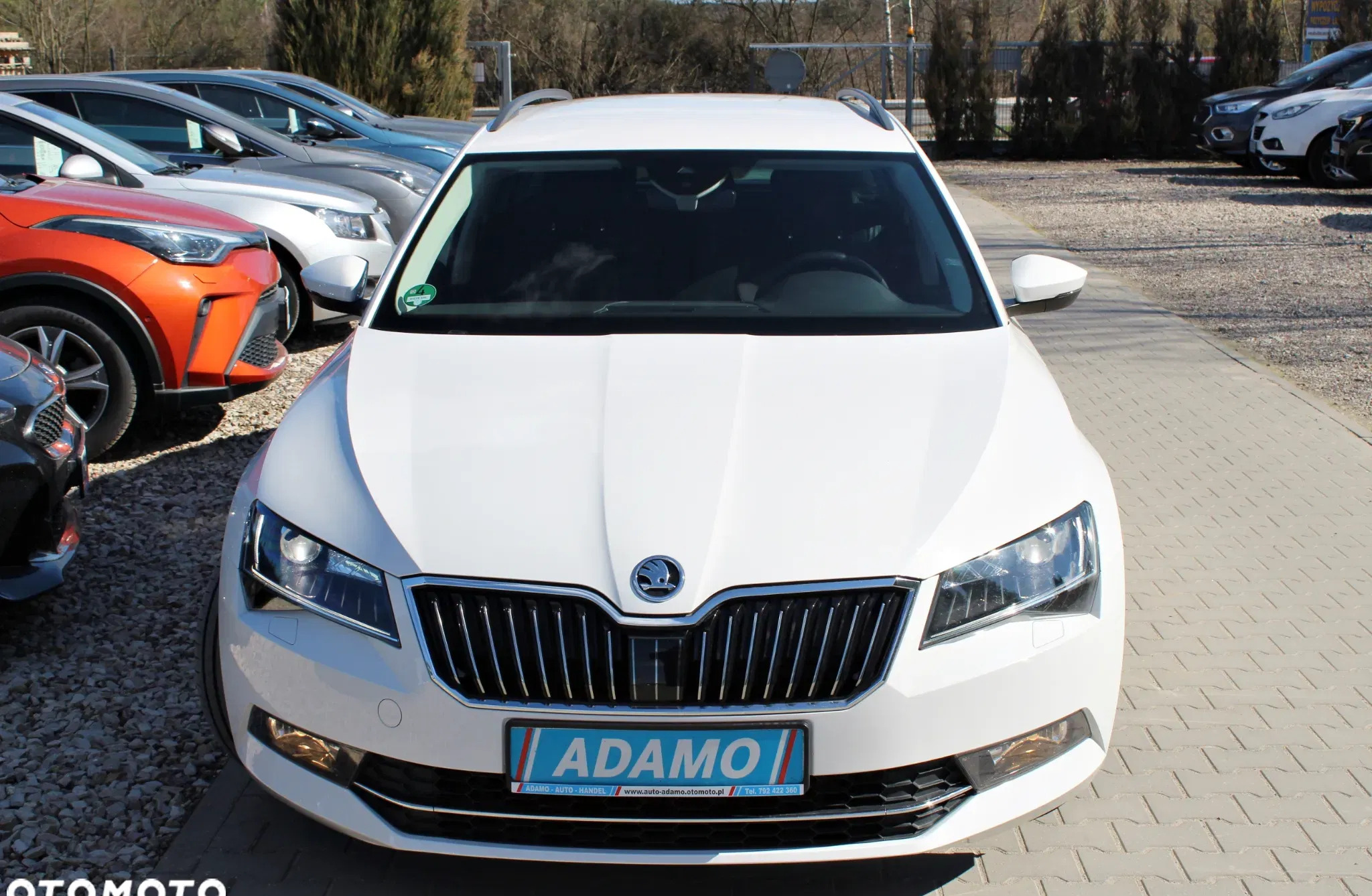 ostrów lubelski Skoda Superb cena 99507 przebieg: 135000, rok produkcji 2019 z Ostrów Lubelski